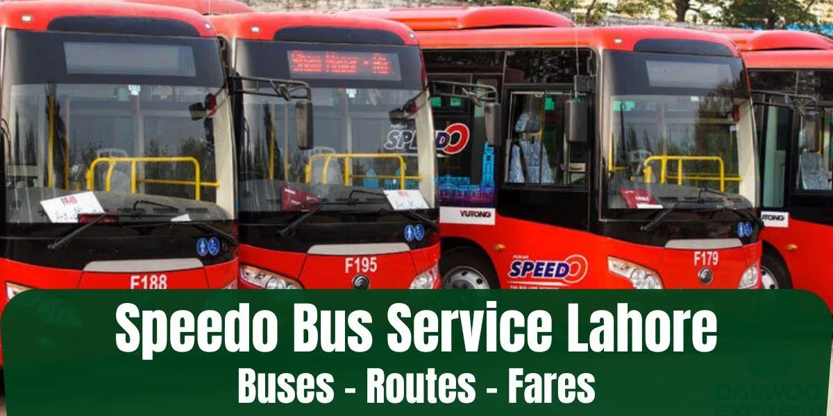 Speedo Bus Service Lahore 2026