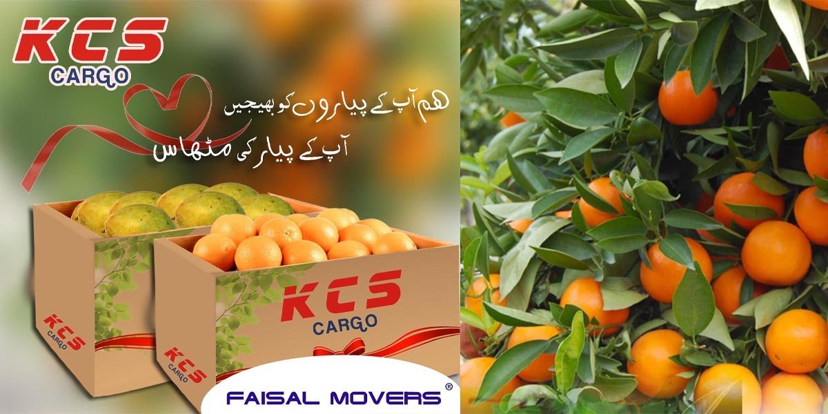 Faisal Movers Cargo Service